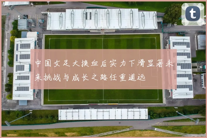 中国女足大换血后实力下滑显著未来挑战与成长之路任重道远